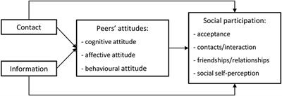 Applying the Contact Theory in Inclusive Education: A Systematic Review on the Impact of Contact and Information on the Social Participation of Students With Disabilities